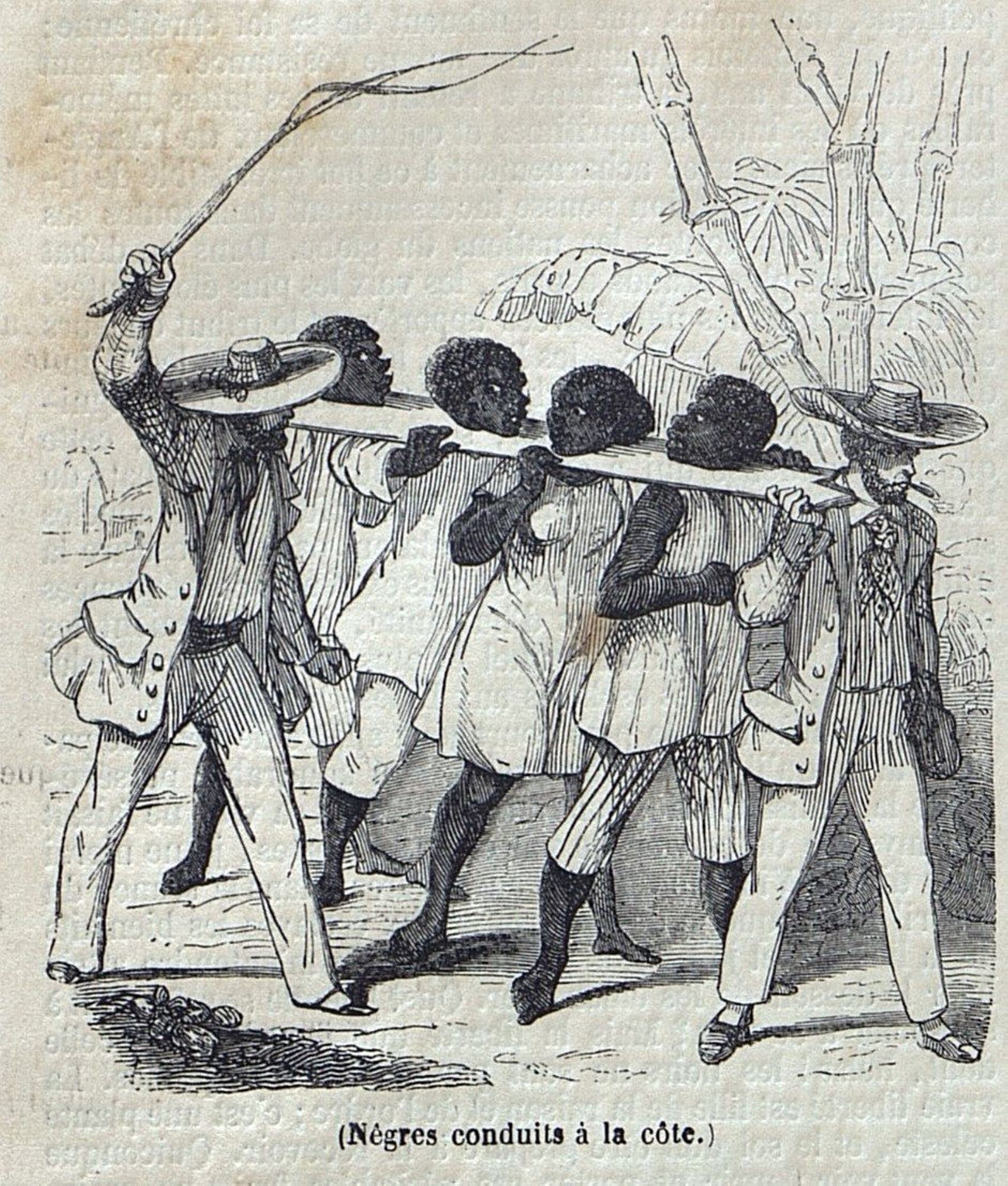 Nègres conduits à la côte, journal L'Illustration de 1848 - PR 56/1 (AD 71)