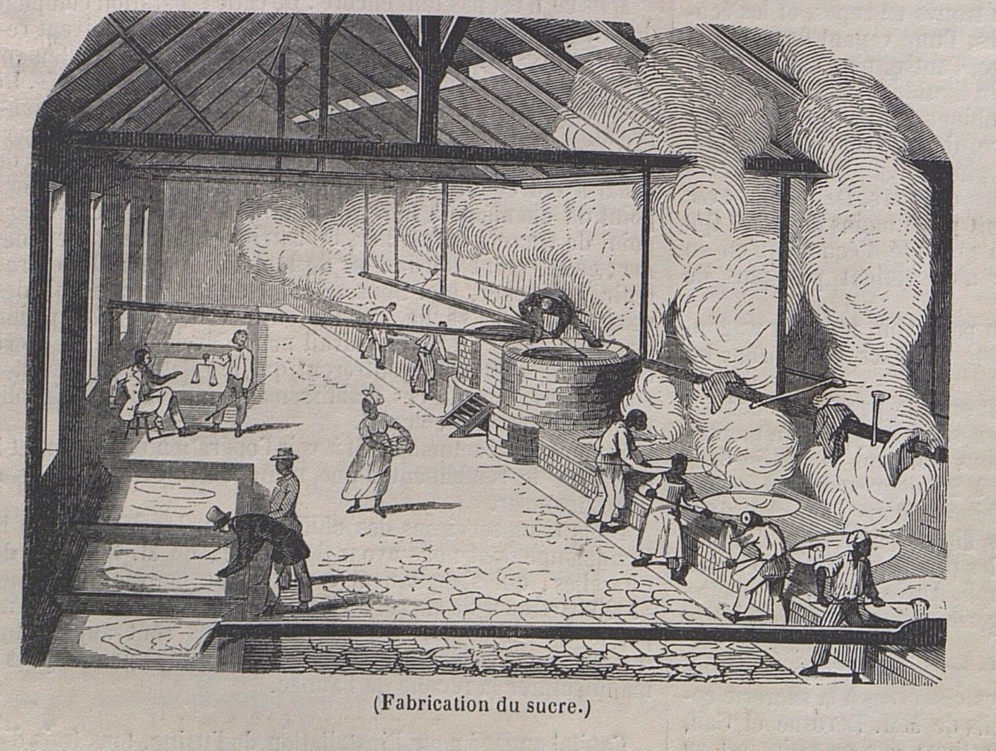 Fabrication du sucre, extrait du journal L'Illustration de 1848 - PR 56/2 (AD 71)