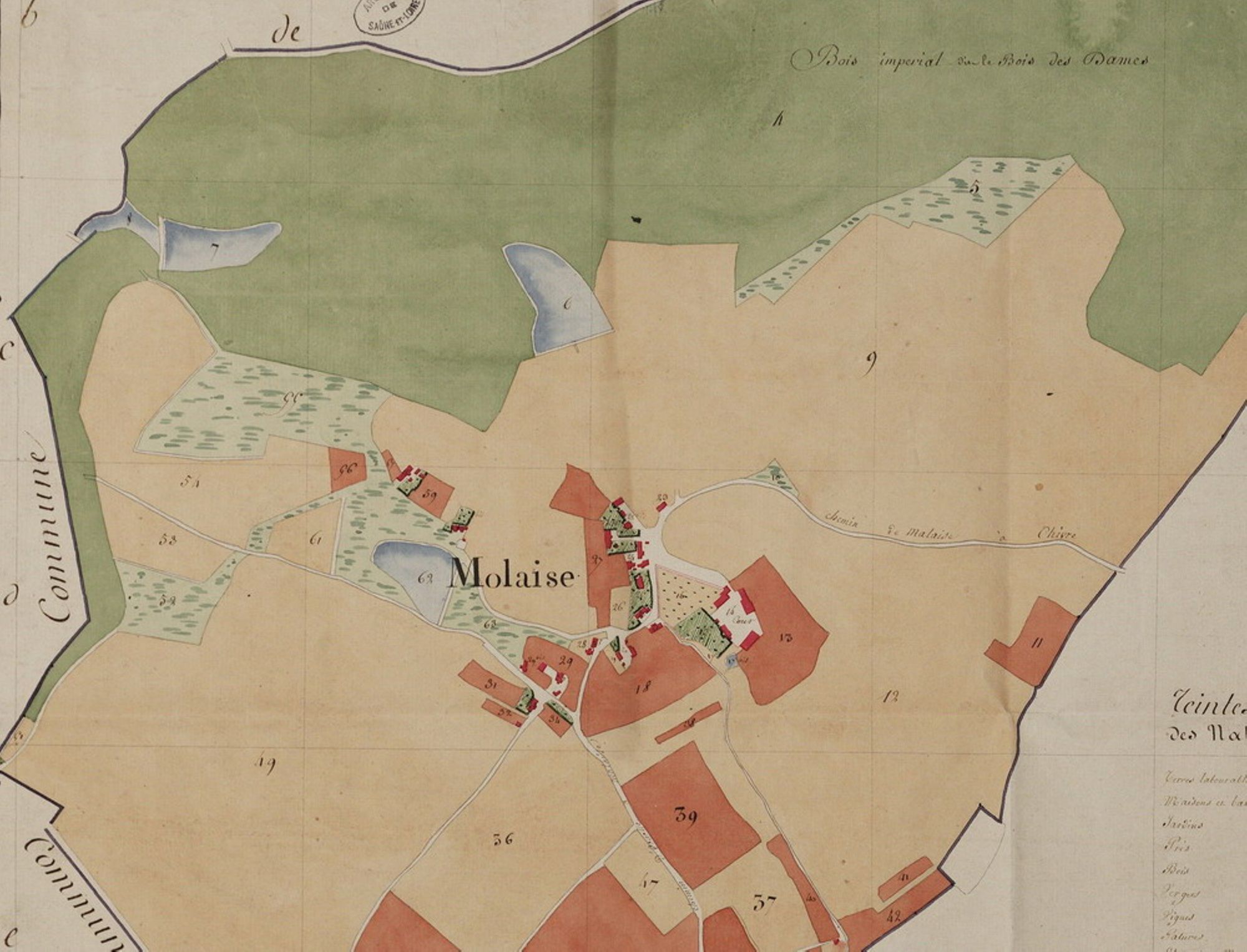 Faire l'histoire d'un village, cadastre