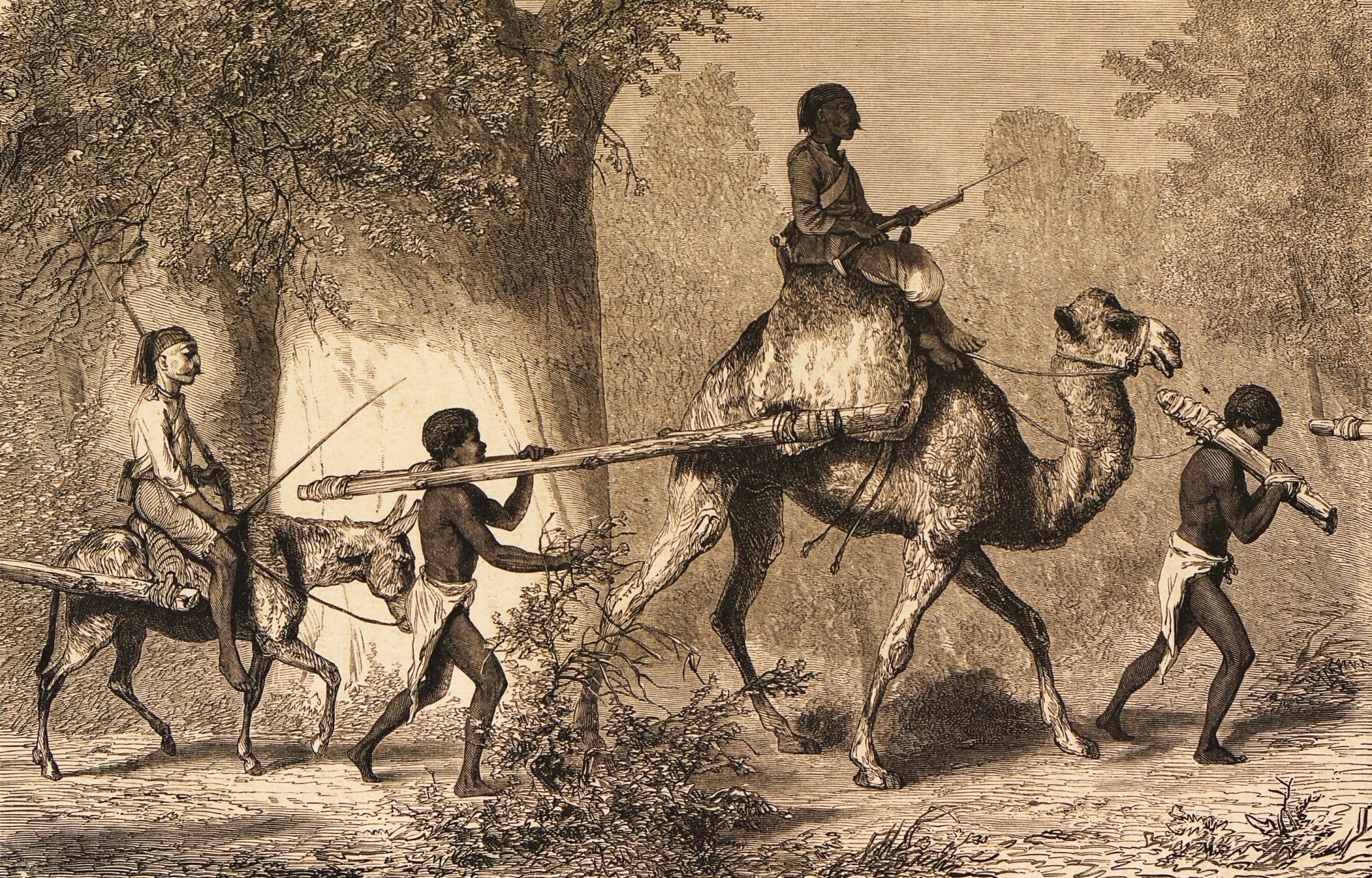 "L'esclavage, c'est notre histoire ! "