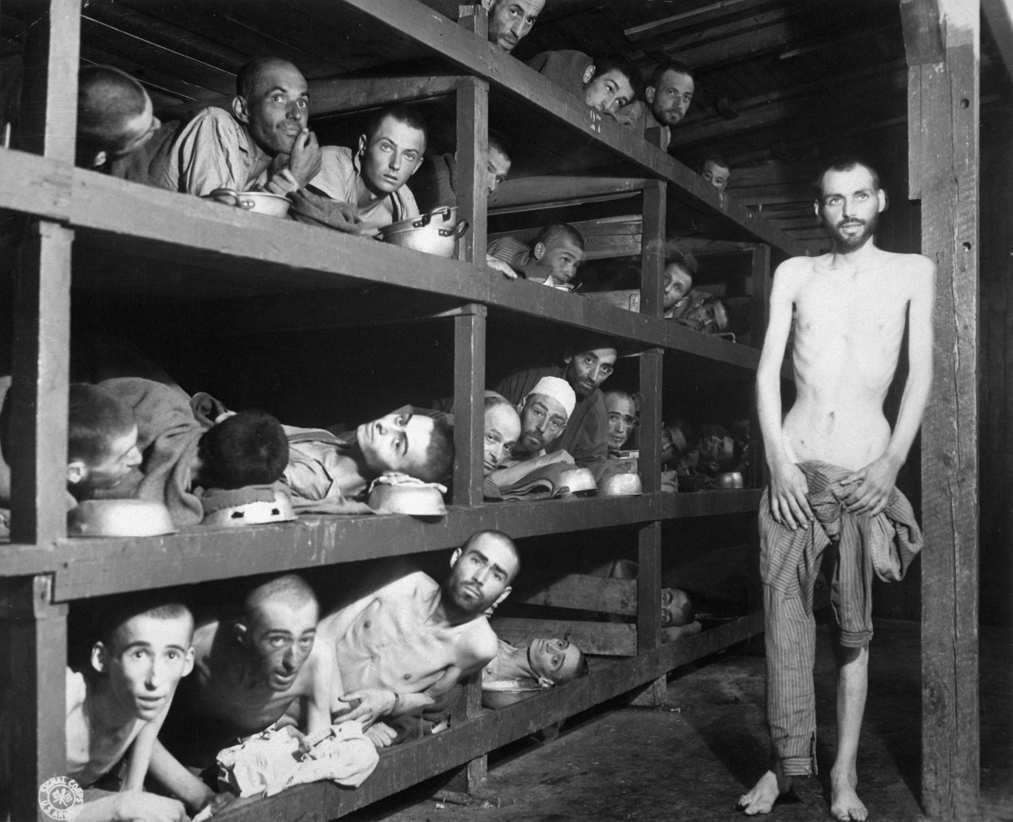 Après les camps : retour à la vie