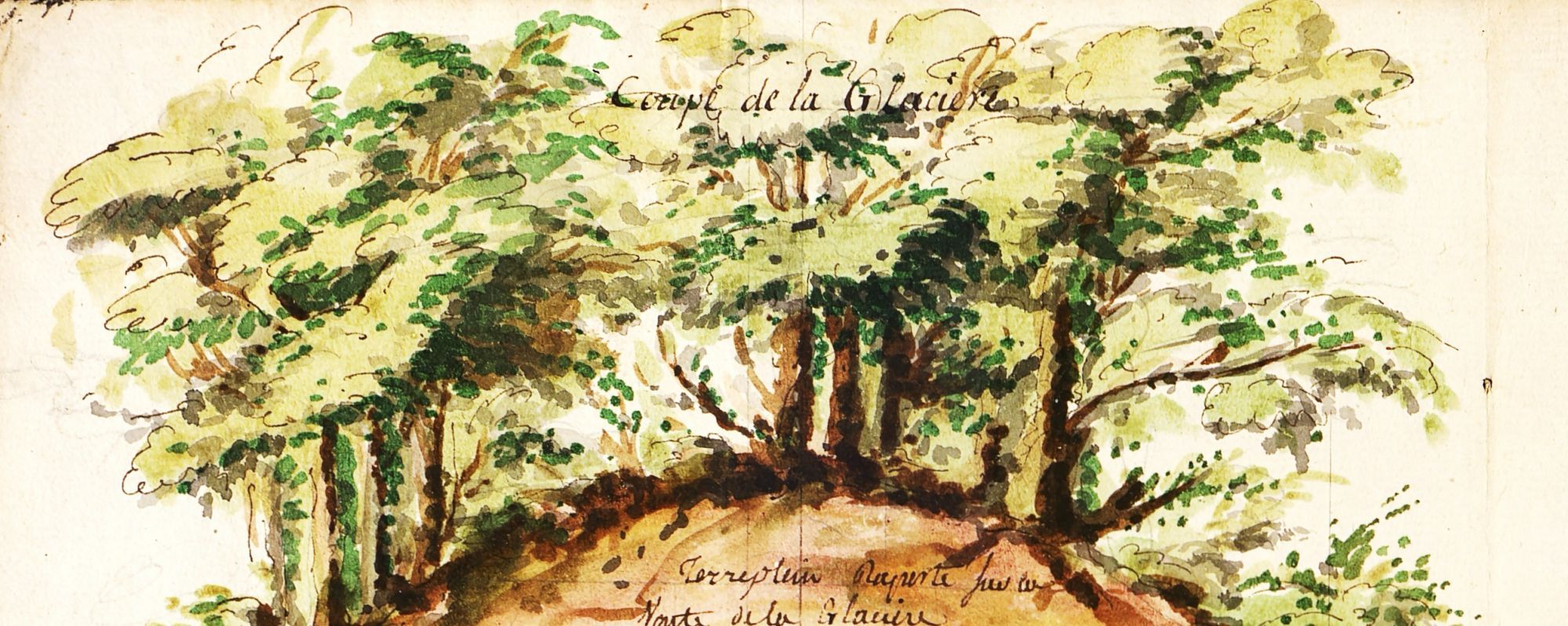 Détail d'un plan en coupe de la glacière du château de Pierre-de-Bresse (F1015, pièce 39) 